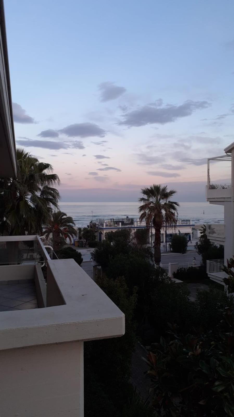 Le Palme 3* Grottammare