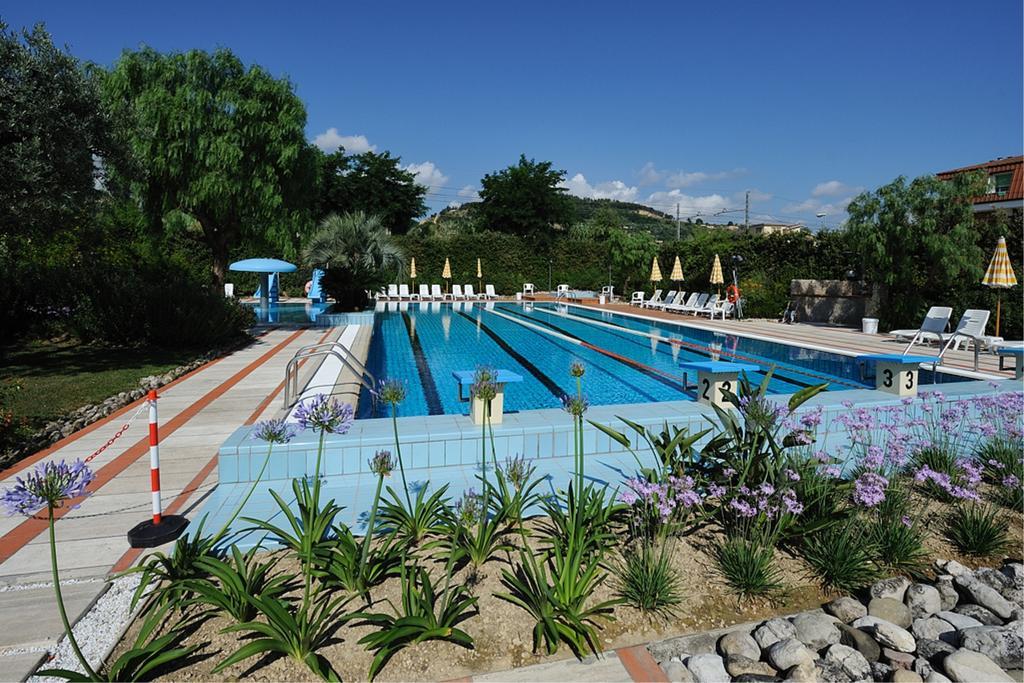 Le Palme Grottammare
